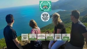 Perople marveling the ocean